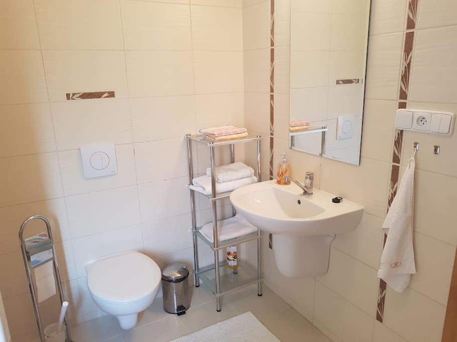 Apartman Pod Tatrami Nová Lesná Εξωτερικό φωτογραφία
